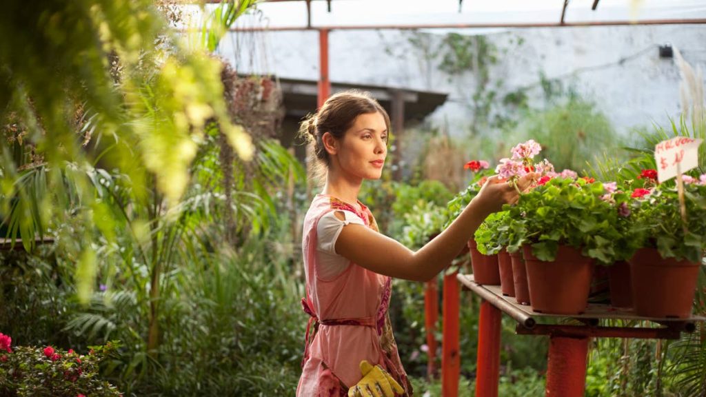 54-year-old lawn and garden giant files Chapter 11 bankruptcy